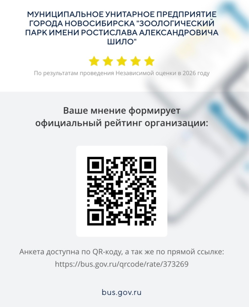 qr.jpg