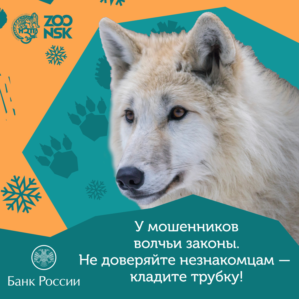 Волк зоопарк.jpg Волк зоопарк.jpg