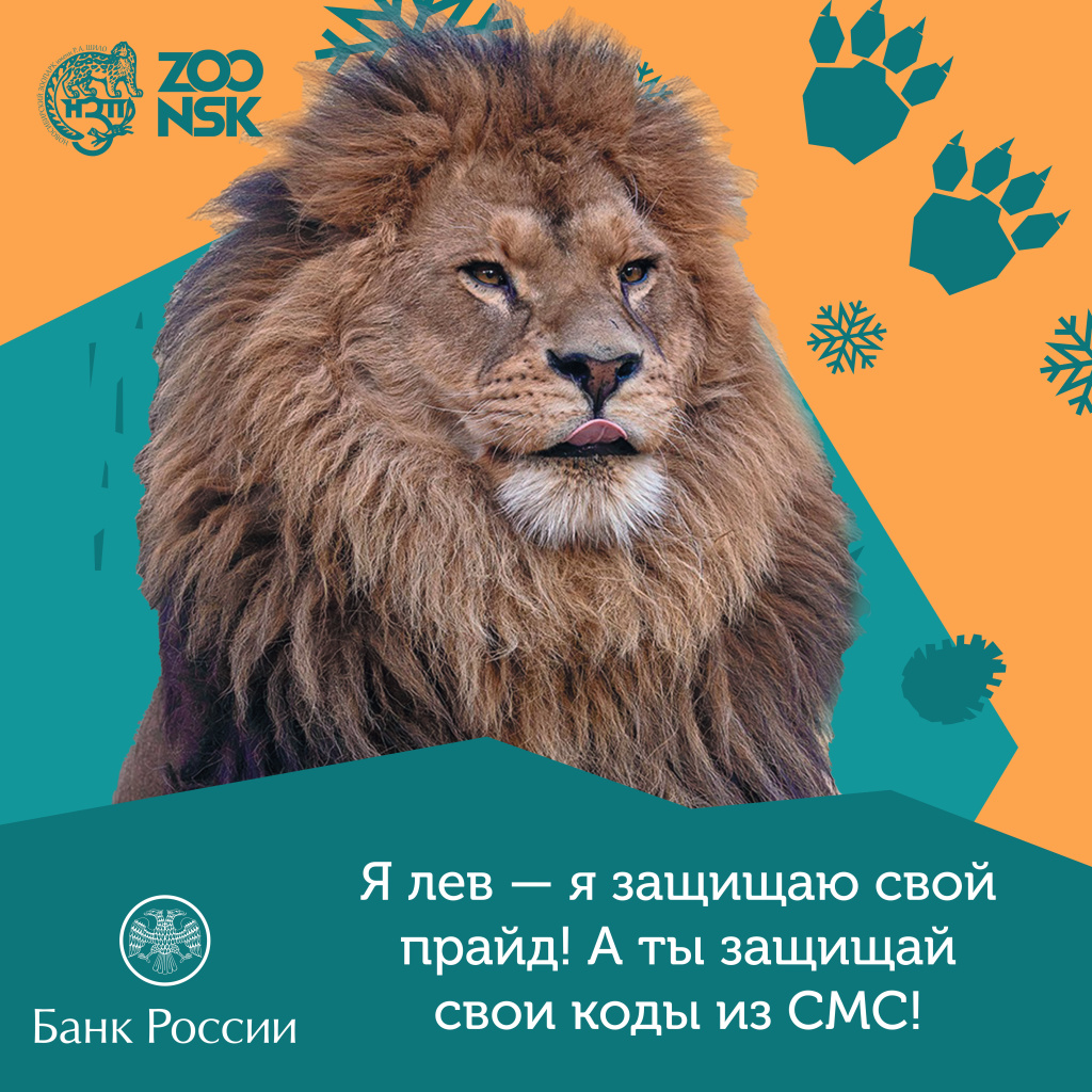 Лев зоопарк.jpg Лев зоопарк.jpg