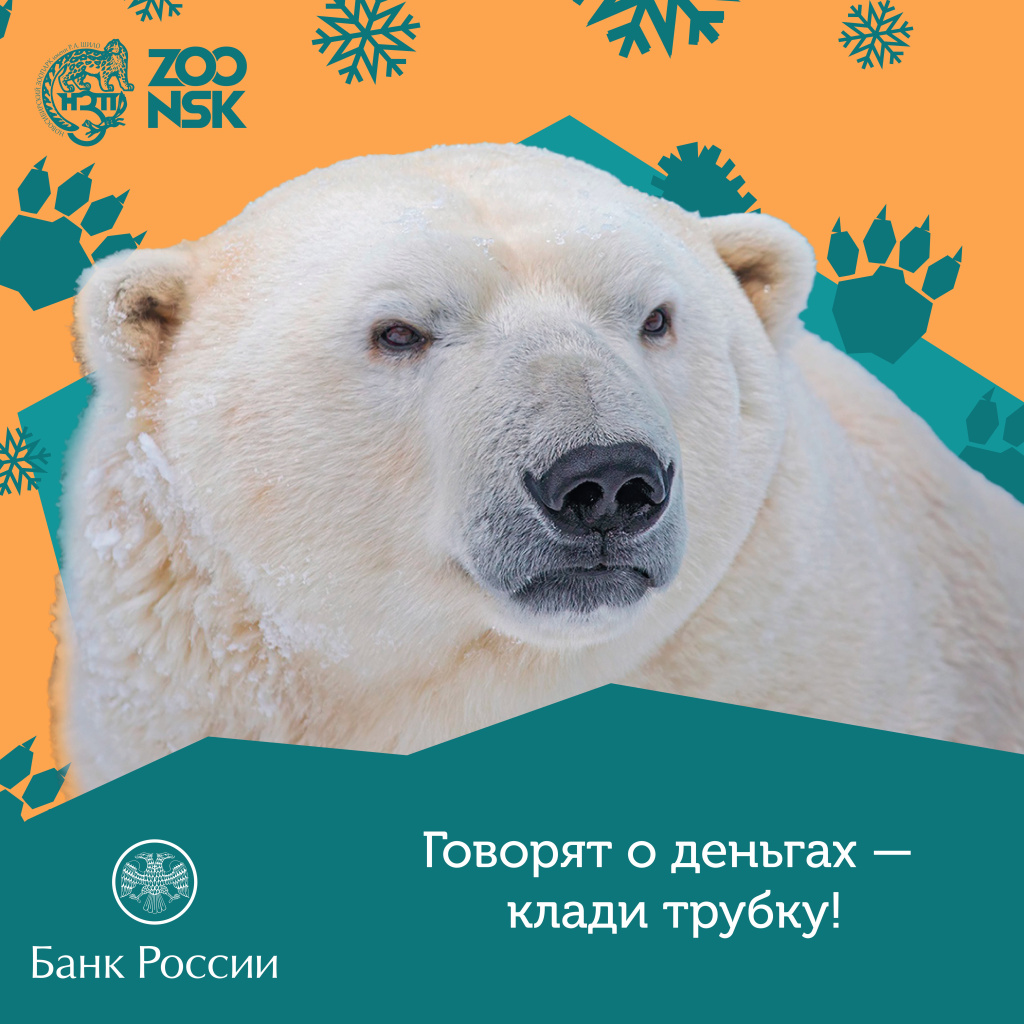 Медведь один зоопарк.jpg